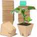 Peat Pot production line