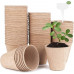Peat Pot production line