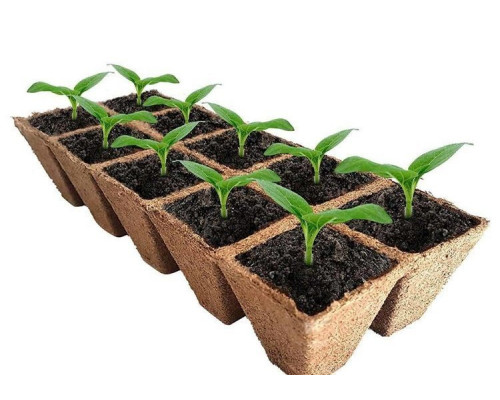 Peat Pot production line