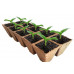 Peat Pot production line